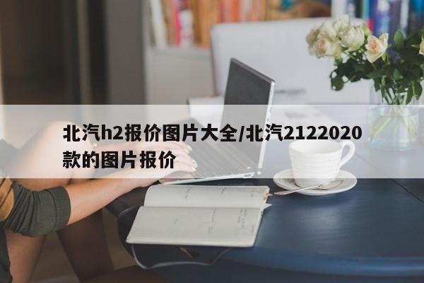 北汽h2报价图片大全/北汽2122020款的图片报价